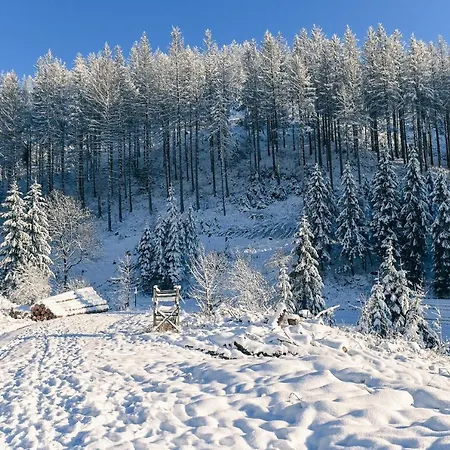 Tiny House Pioneer 7 - Tiny Village Harz *